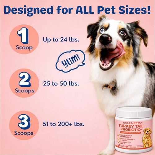 The #1 Vet Recommended Lipomas Relief Supplement