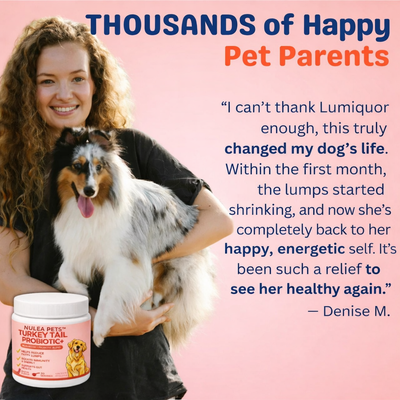 The #1 Vet Recommended Lipomas Relief Supplement