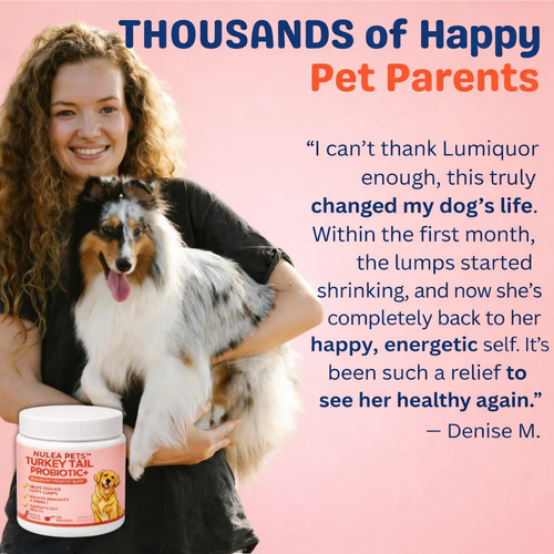 The #1 Vet Recommended Lipomas Relief Supplement